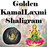 Golden Kamal Laxmi Shaligram