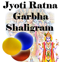 Jyoti Ratna Garbha Shaligram