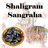 Shaligram Sangraha