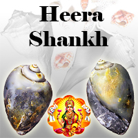 Heera Shankh
