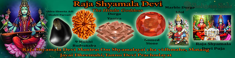 Raja Shyamala Devi: The Hindu Goddess