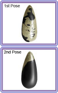 Sarvottam Golden Laxmi Narayan-EXLAN1102