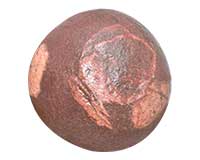 Sacred Adwaitya Navdurga Dashmahavidya Kamakhya Shila-EXKMK1036