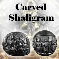Carved Shaligram