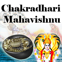 Chakradhari Mahavishnu Shaligram