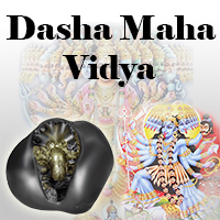 Dasha Maha Vidya Shaligram