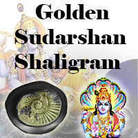 Golden Sudarshan Shaligram