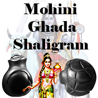 Mohini Ghada Shaligram