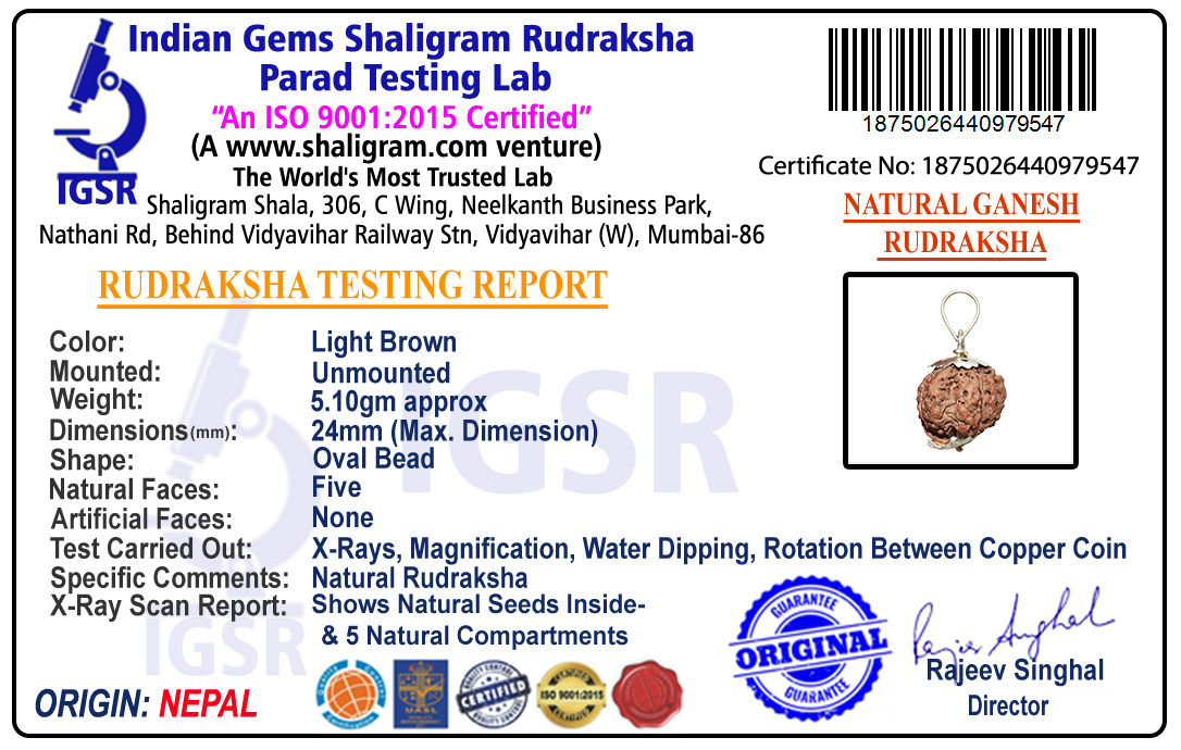 product-img/1RD-GN-56-1875026440979547.jpg