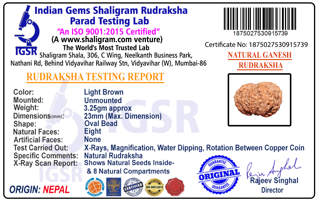 product-img/1RD-GN-66-1875027530915739.jpg