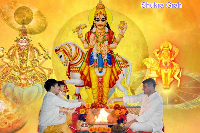  shukra graha pooja        