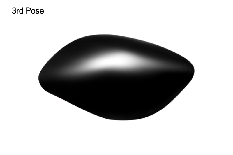 Sarvottam Rohita Matsya-AURTS1045-3