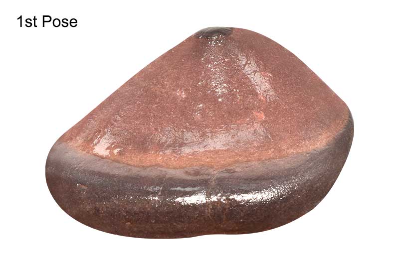 Sacred Adwaitya Mahadev Navdurga Dashmahavidya Kamakhya Shila-EXKMK1026-1
