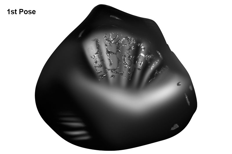 Sarvottam Kalpvriksha Laxmi Dhavantari Golden Mohini Ghada-EXMGD1043-2