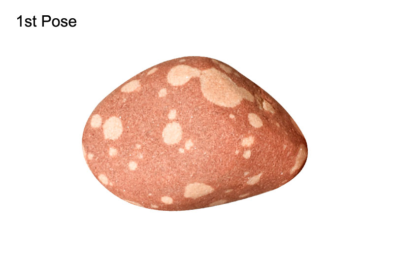 Kurma Giri Govardhan Shila-GGS97-1