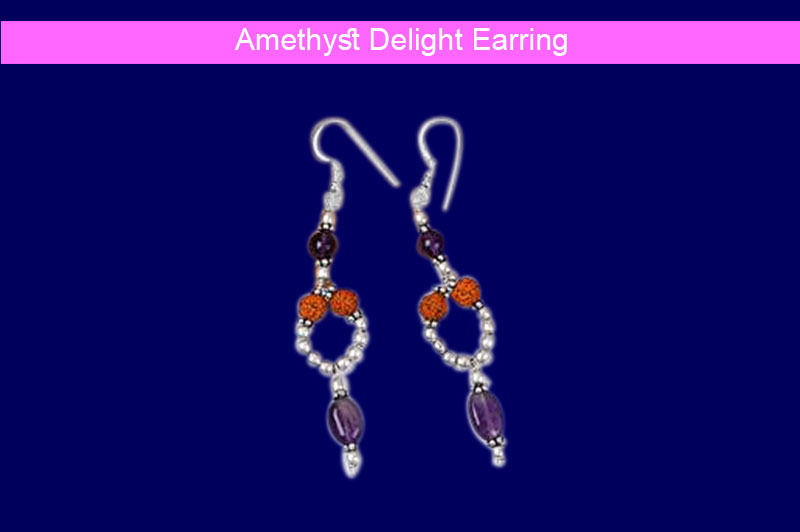 Amethyst Delight Earring-GMERAM003-1