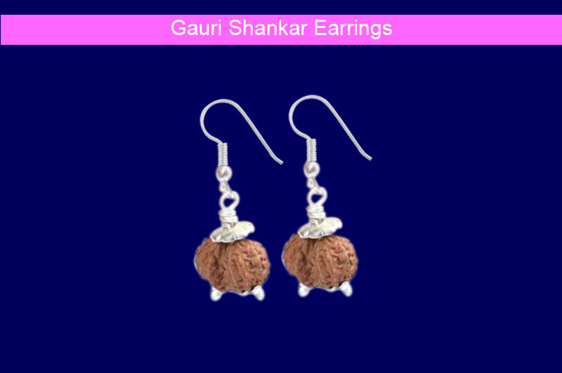 Gauri Shankar  Earrings-GMERRD031-1