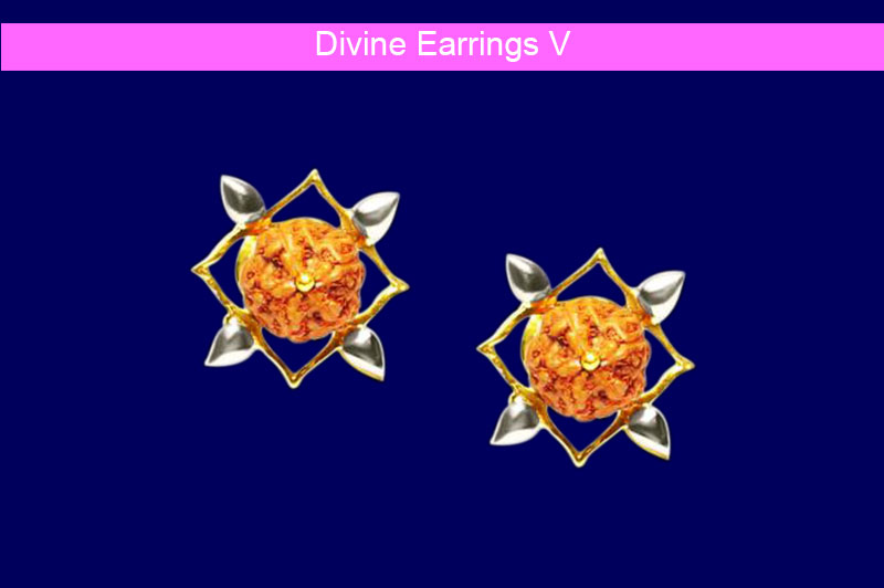 Divine Earrings V-GMERRD046-1