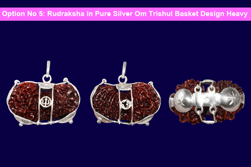 11 Mukhi Gauri Shankar Collector Nepali Rudraksha-RD-GS-C-A-05-5
