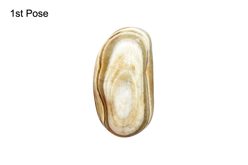 Sacred Adwaitya Kailash Pati Mahadev Dhumavati Chinnamastika Baglamukhi Bhuvaneshwari Dasha Maha Vidya Katyayani Gauri Navdurga Kailash Shila-KLS85-1