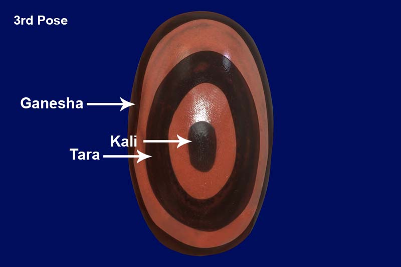 Rare Kali Tara Dashmahavidya 9 Navdurga Shiv Shankar Shambho Mahamrityunjay Ganesh Kartikeya Ashok Sundari Shiv Parivar Narmada Shivling-NMDSL1011-3