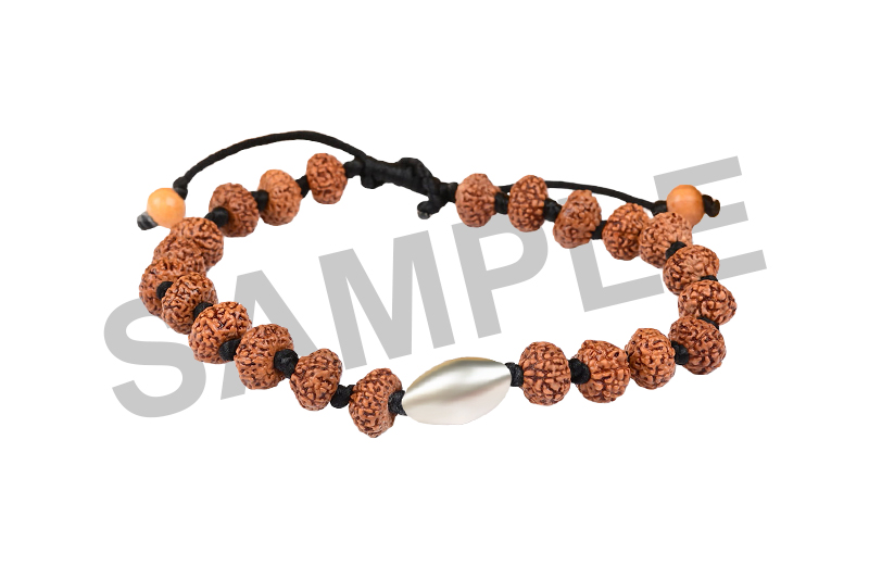 Parad Gutika(12-13mm) with 10 Mukhi Rudraksha Bracelet-PB019-2
