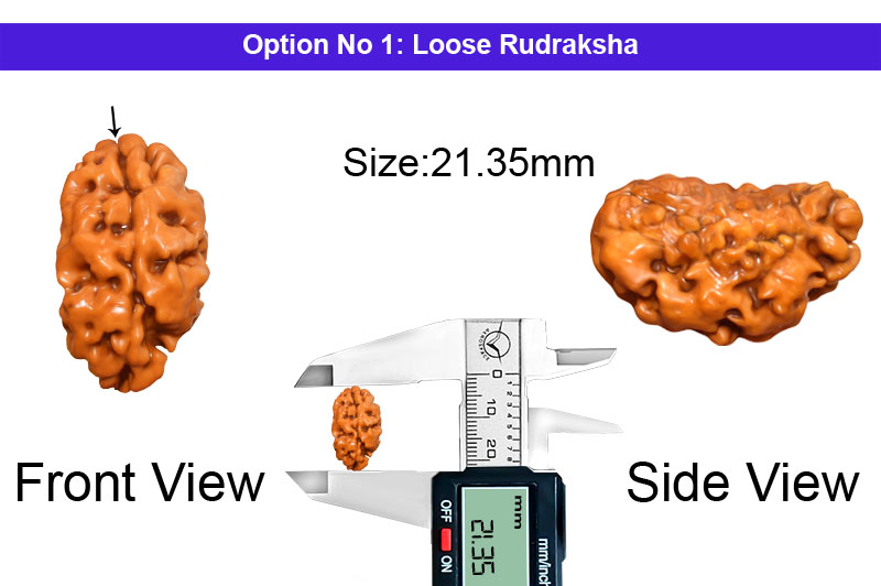 1 Mukhi Normal Nepali Rudraksha-RD-1-A-07-1