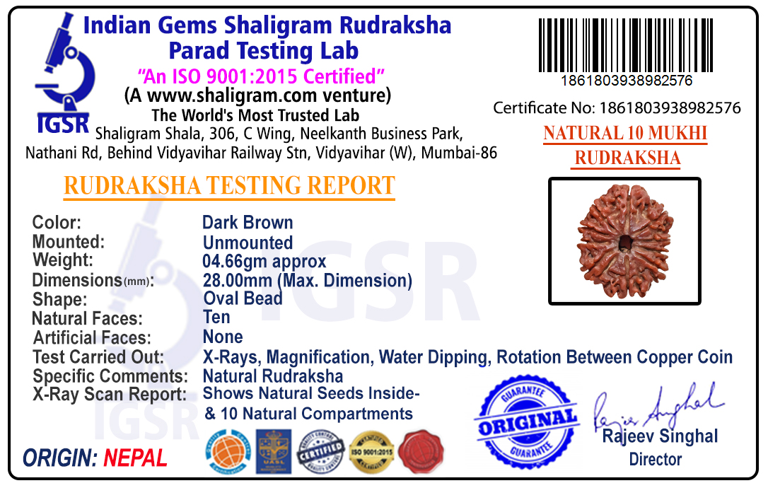 product-img/RD-10-C-A-06-1861803938982576.jpg