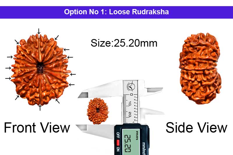 13 Mukhi Nepali Rudraksha-RD-13-A-B-35-1