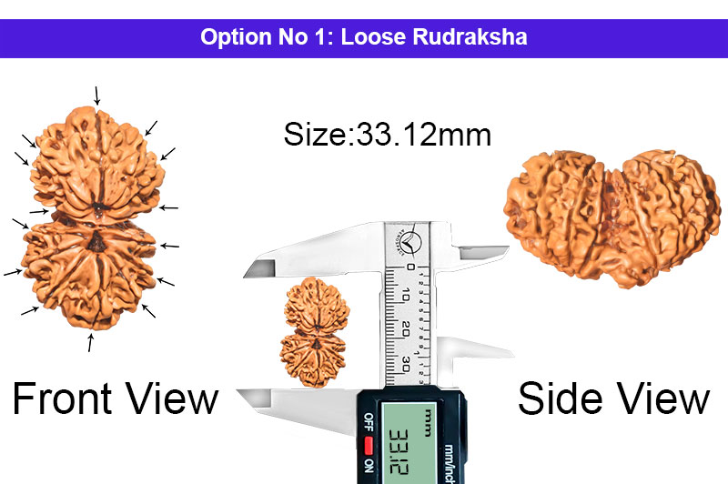 14 Mukhi Gauri Shankar Nepali Rudraksha-RD-14-A-A-30-1