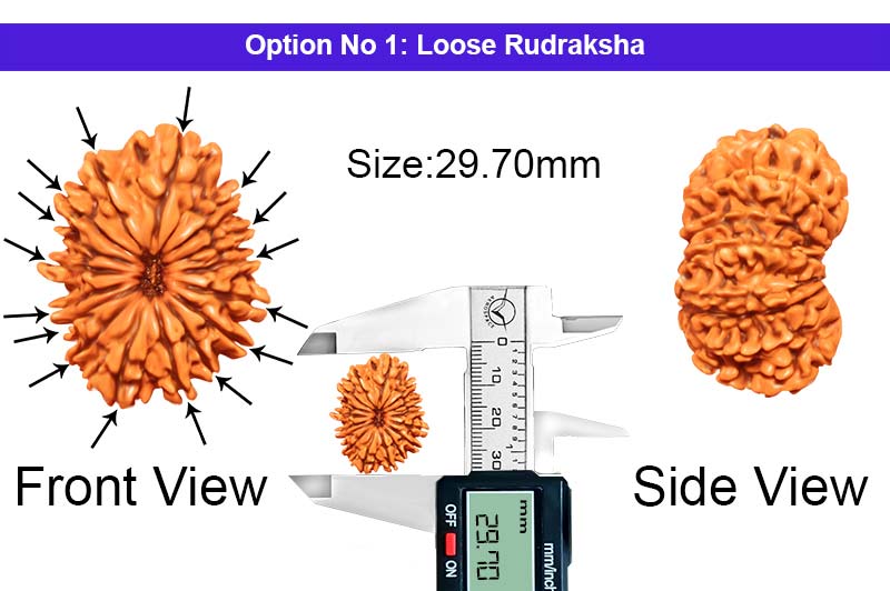 16 Mukhi Nepali Rudraksha-RD-16-B-A-09-1