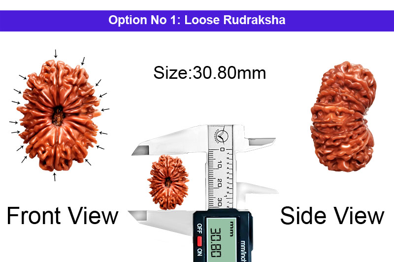 16 Mukhi Collector Nepali Rudraksha-RD-16-B-C-03-1