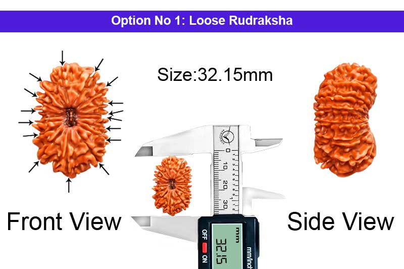 16 Mukhi Nepali Rudraksha-RD-16-C-A-08-1