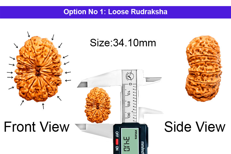 16 Mukhi Nepali Rudraksha-RD-16-C-B-11-1