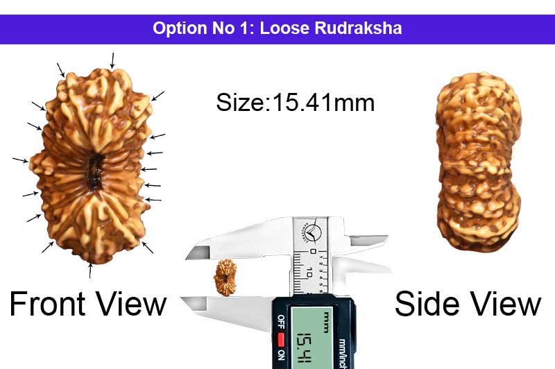 16 Mukhi Indonesian Rudraksha-RD-16-I-38-1