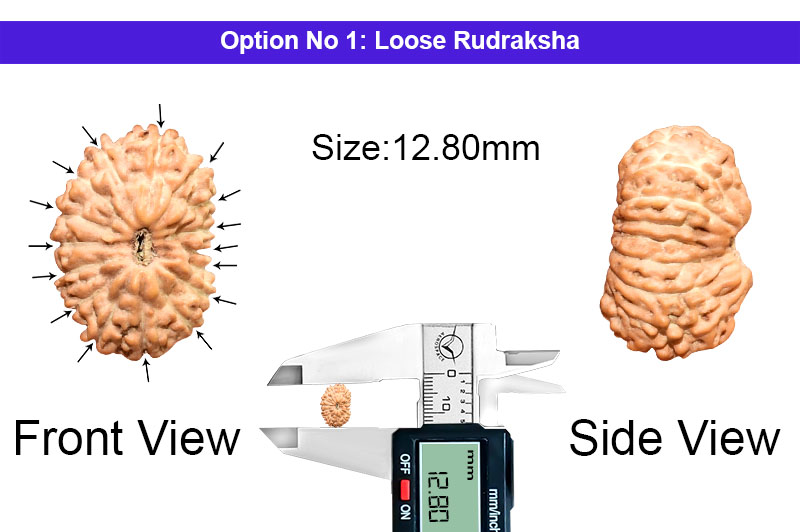 16 Mukhi Indonesian Rudraksha-RD-16-I-44-1