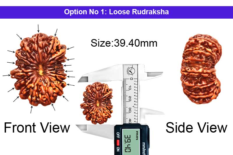 17 Mukhi Collector Antic Nepali Rudraksha-RD-17-C-C-10-1