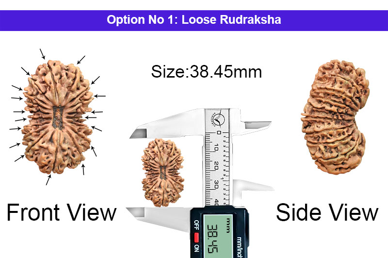 18 Mukhi Collector Nepali Rudraksha-RD-18-C-C-03-1
