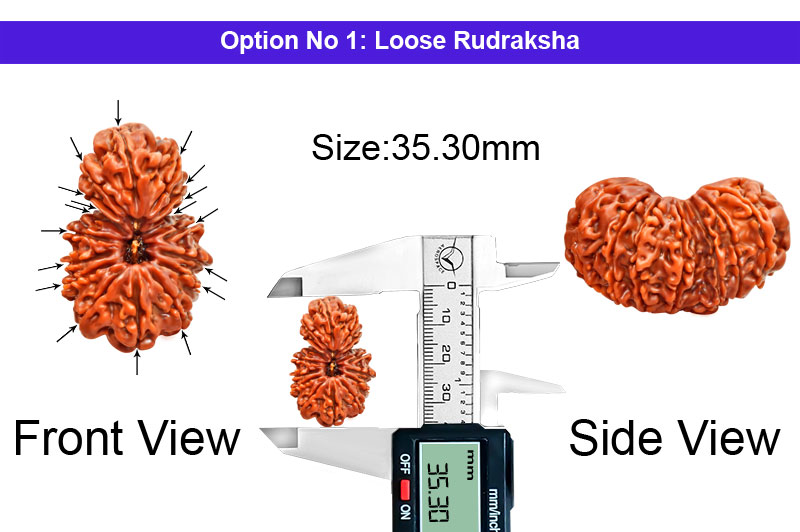 18 Mukhi Gauri Shankar Nepali Rudraksha-RD-18-C-C-07-1