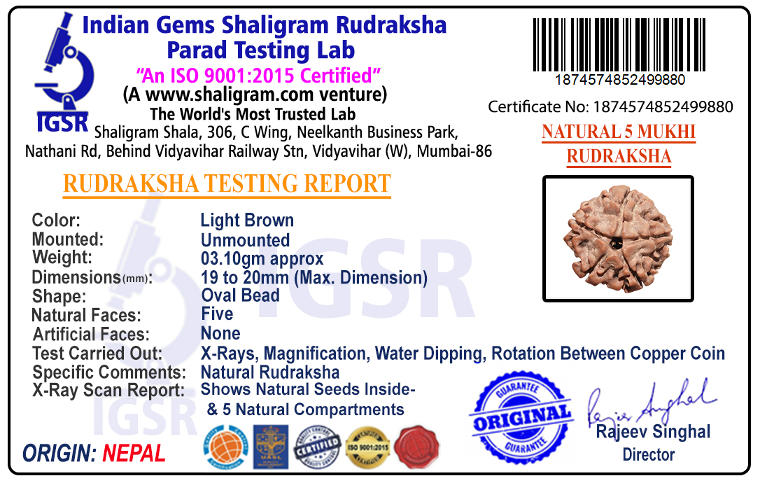 product-img/RD-5-A-03-1874574852499880.jpg