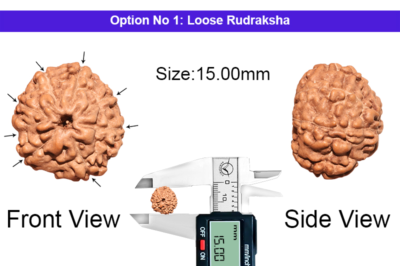 8 Mukhi Indonesian Rudraksha-RD-8-I-47-1