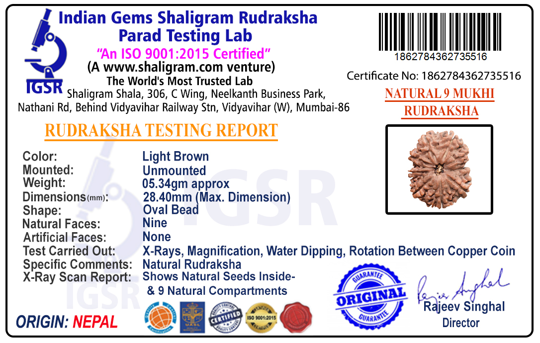 product-img/RD-9-C-B-09-1862784362735516.jpg