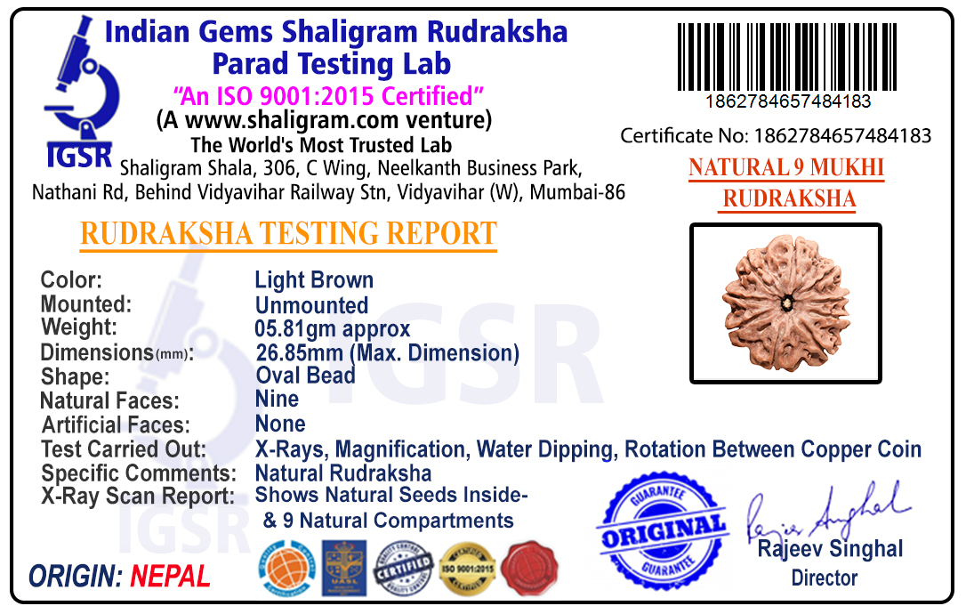 product-img/RD-9-C-B-13-1862784657484183.jpg