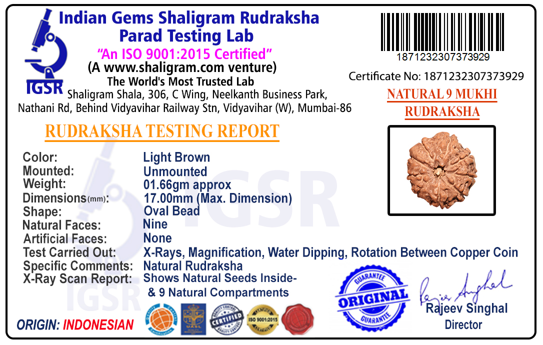 product-img/RD-9-I-55-1871232307373929.jpg