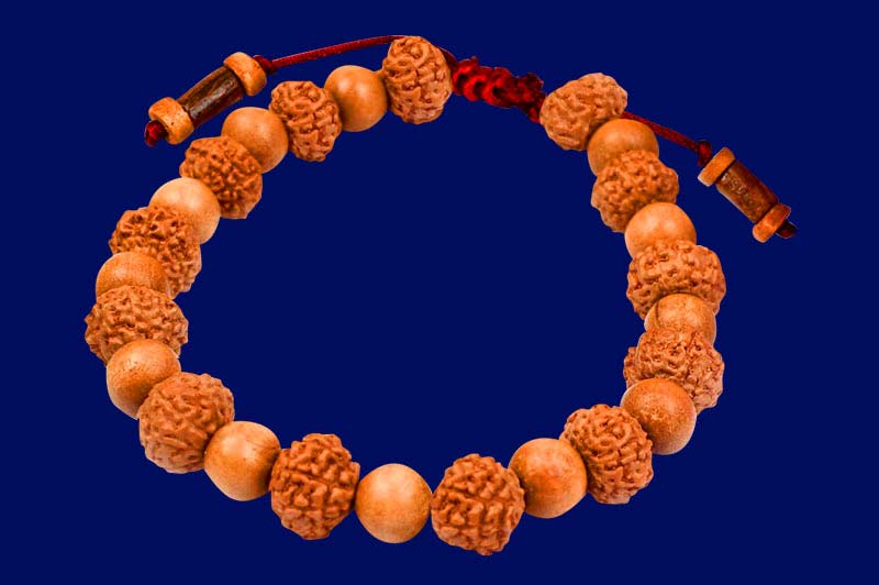 10 mukhi rudraksha bracelet