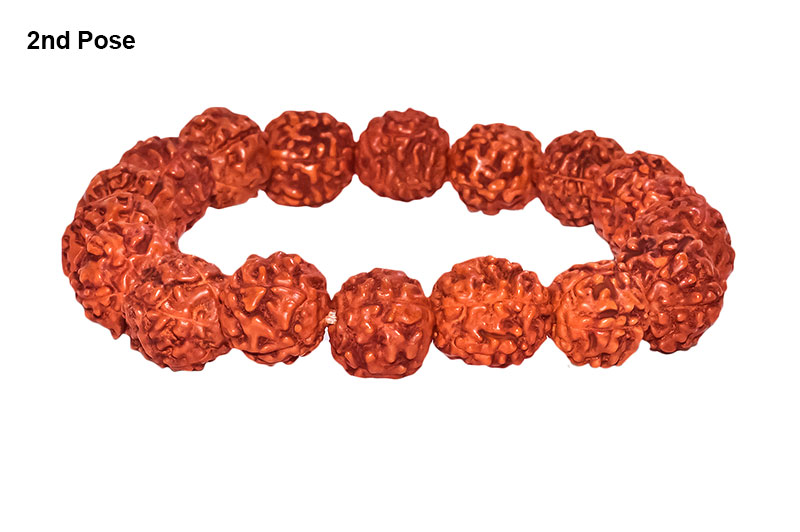 5 Mukhi Indonesian Rudraksha Bracelet-RD-BR-5-1046-2