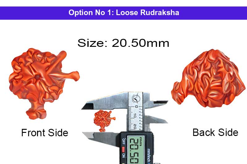 Riddhi Siddhi Ganesh 4 Mukhi Rudraksha-RD-GNS-03-1