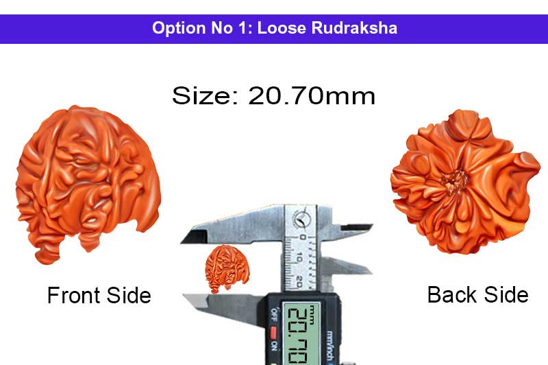 Shiv Gauri Ganesh Kartikeya 6 Mukhi Rudraksah-RD-GNS-07-1