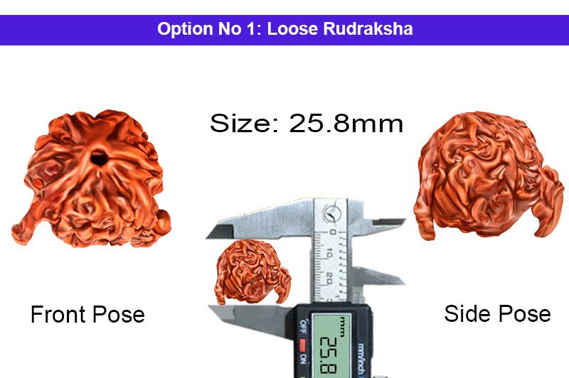 6 Mukhi Ganesha kartikeya Rudraksha-RD-GNS-16-1