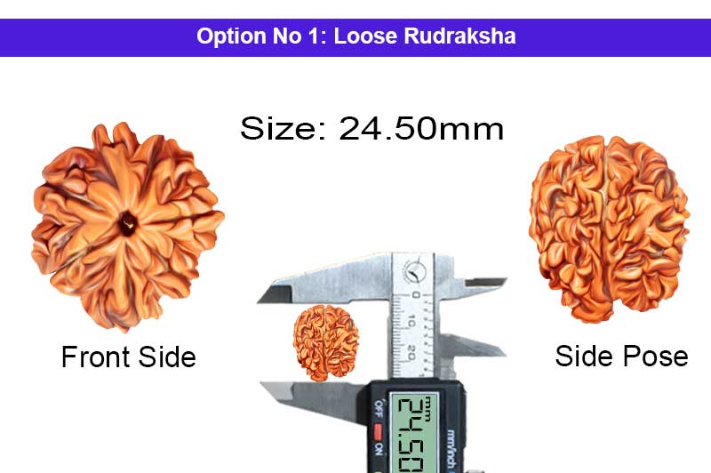 7 Mukhi Laxmi Ganesh Aum Rudraksha-RD-GNS-17-1